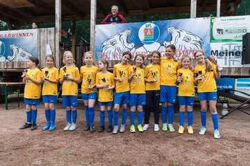 Bild 257 - Loewinnen Cup
